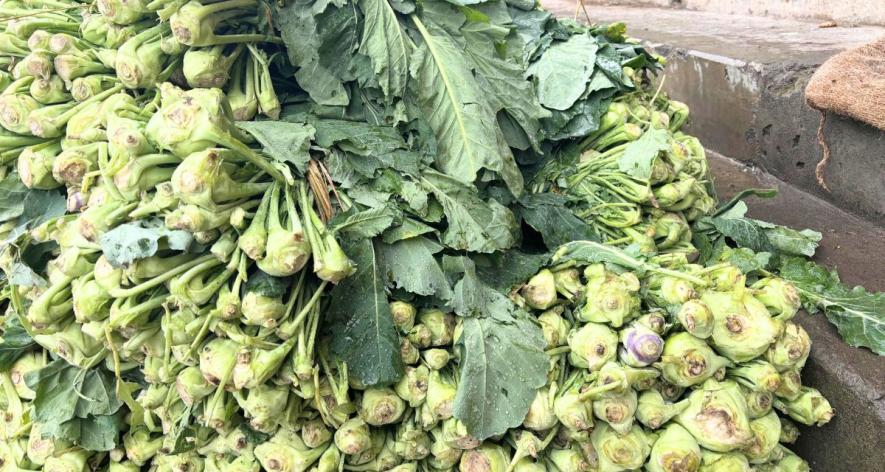 Haakh at the fruits and vegetables mandi in Anantnag, ready to be distributed to vendors for sale (Photo - Mohammad Aatif Ammad Kanth, 101Reporters).