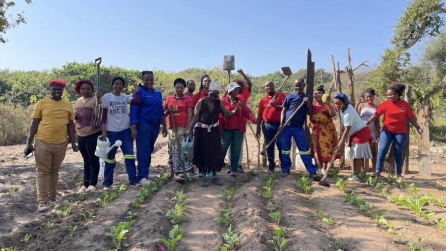 Abahlali baseMjondolo’s Hlanganani Branch in Salt Rock in South Africa’s KwaZulu-Natal Province is producing life and livelihood for its community on land that was previously unproductive and underutilized land. Photo: Pan Africanism Today