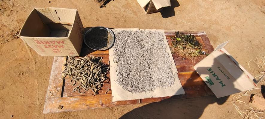 Herbs being dried to make medicines. Image credit: Shubham Kumar