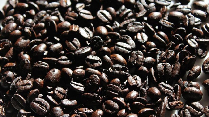 coffee