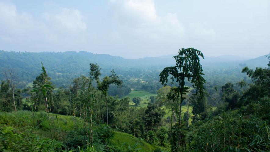 Hills of Dolamora