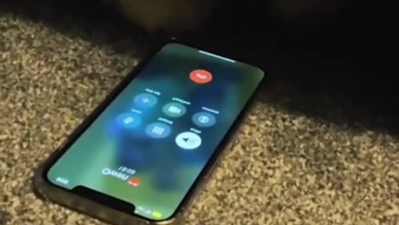 Furry Friends React: Dog and Cat's Hilarious Response to Phone Sounds