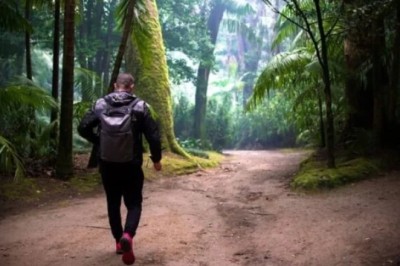 Incredible Archaeological Discovery in the Jungle - Archaeologist Can't Believe His Eyes! | The Clip Funny