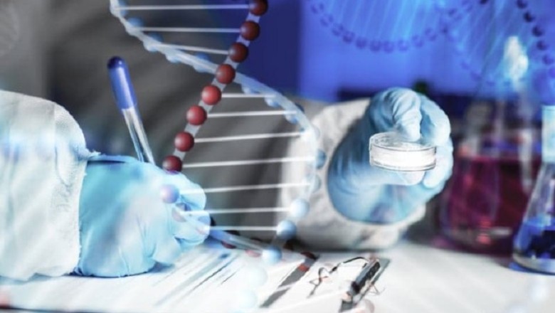 "Incredible Discovery: Unveiling Ancient Frozen Artifacts in Remote Cave"