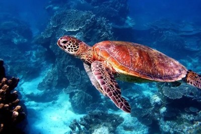 Discover These Stunning Natural Wonders Around the World