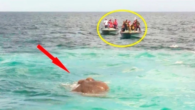 The Riveting Tale of Calling the Sheriff: A Mysterious Safe and Unveiling a Criminal