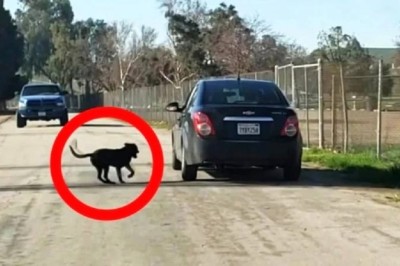 Shocking Arrest Unveils Truth: Former Police Officer's Secret Exposed!