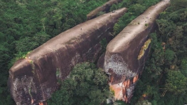 Adventurers Uncover Mysterious Giant Objects in Remote Forest