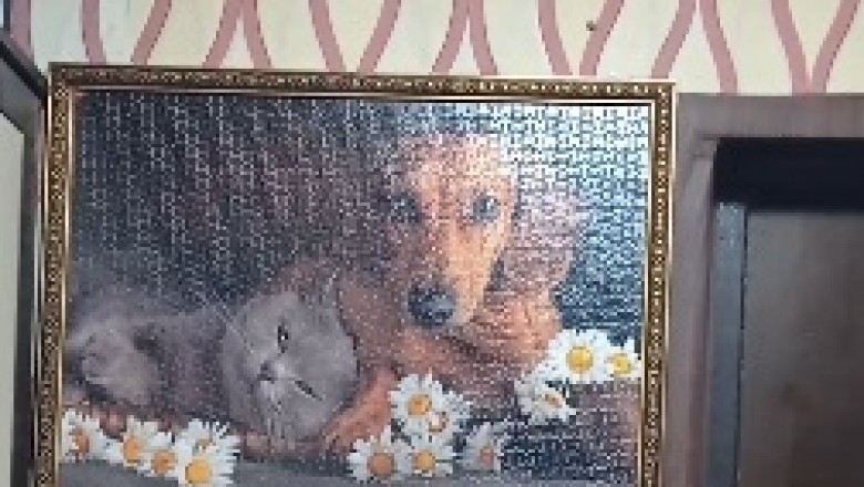 Hilarious Hound: The Leggy Wonder!