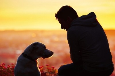 The Incredible Journey of Stacy and Benji: A Heartwarming Tale of Escape, Reunion, and Redemption!