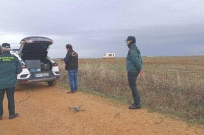 Fatal Dog Attack Shakes Spanish Community: Young Woman Tragically Mauled by Herding Dogs