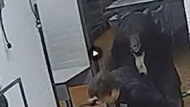 Brutal Mauling by Enormous Bear: A Terrifying Encounter for Security Guard in Secluded Mountain Lodge