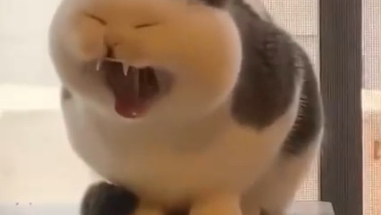 Meow-velous Mimic: Hilarious Cat Perfectly Imitates Phone Rings!
