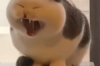 Meow-velous Mimic: Hilarious Cat Perfectly Imitates Phone Rings!
