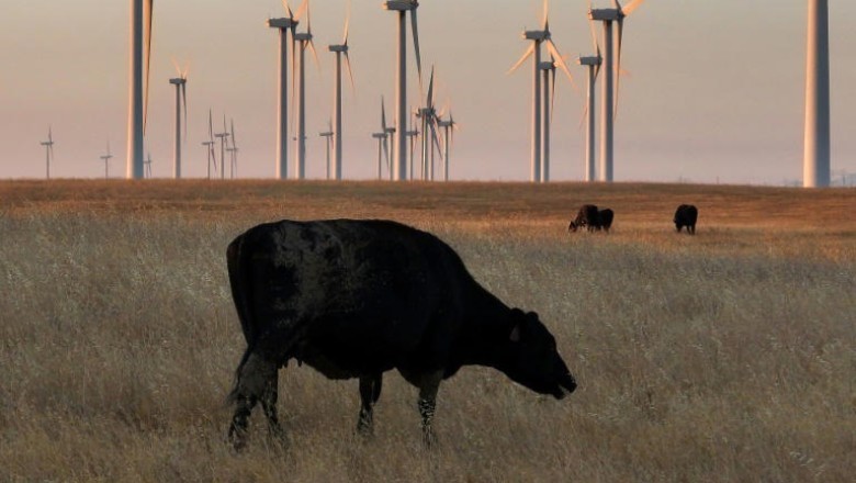 Red Meat Prices Skyrocket in the United States Due to Beef Shortage