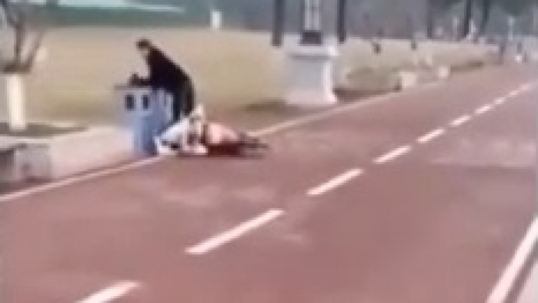 Unlikely Encounter: Hilarious Horse vs. Motorcycle Collision!