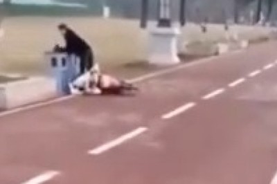 Unlikely Encounter: Hilarious Horse vs. Motorcycle Collision!