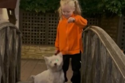Witness the Adorable Bond Between a Small Girl and Her Furry Best Friend!