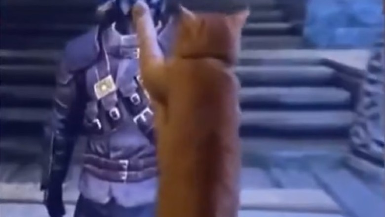 Pawsitively Purrfect: Funny Cat Jokes That Will Make You LOL!