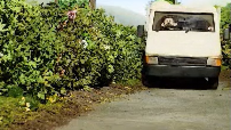 Side-Splitting Hilarity Unleashed: Brace Yourself for the Funniest Cartoon Video Clip!