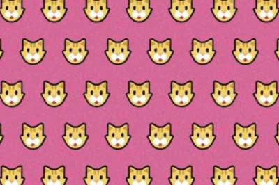 Mind-Bending Test: Can You Spot the Odd Cat in Just 15 Seconds?