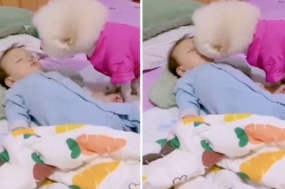 Heartwarming Video of Puppy Giving Goodnight Kiss to Human Baby Melts Internet Hearts