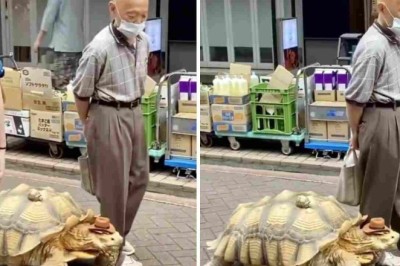 Man Takes Giant Tortoise for a Walk and Internet Can't Get Enough!