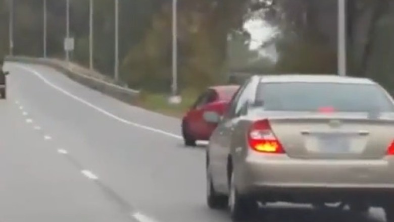 Adventure Awaits: Car Takes on the Forest Challenges!